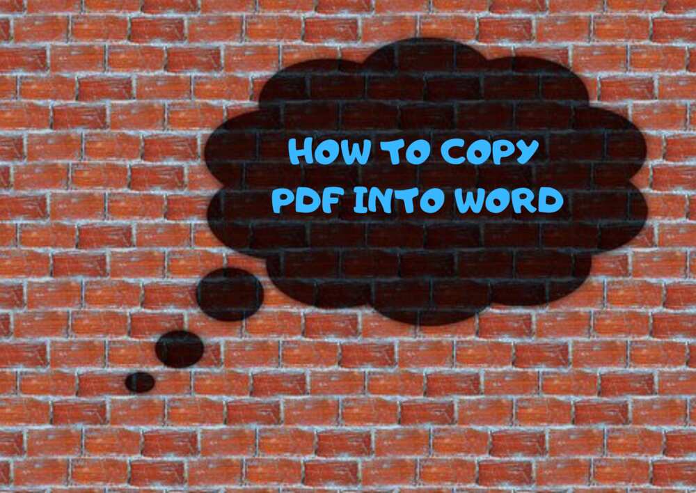 copy PDF page to Word