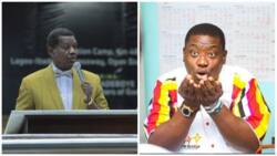 You continue to embarrass RCCG: Outrage as Pastor Adeboye’s Son, Leke calls erring pastors 'goats'