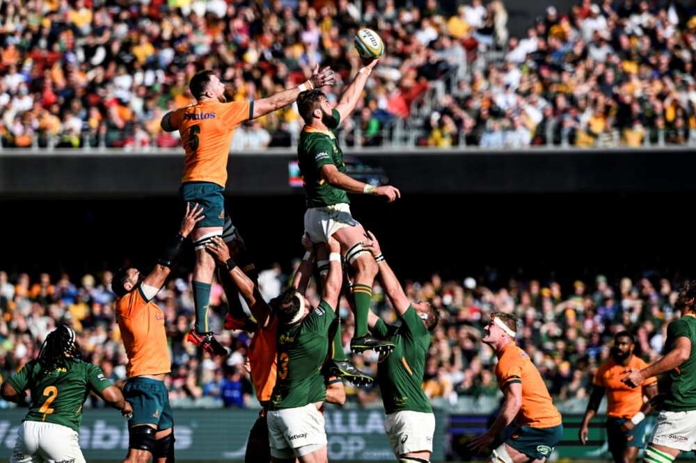 Australia lost six lineouts on their own throw but withstood South African pressure to win in Adelaide
