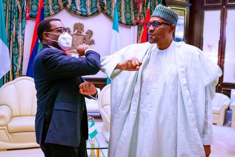 Buhari finally opens up, reveals why he supported Adesina for AfDB job