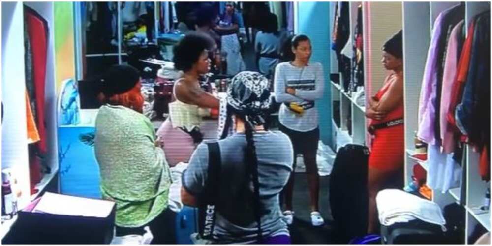 BBNaija's female housemates' fight