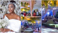 Beautiful exotic decoration, cultural outfits as guests, family arrive Ini Dima-Okojie's traditional wedding
