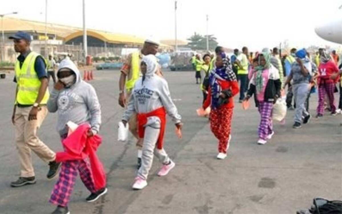 NEMA receives 160 Nigerians from Libya