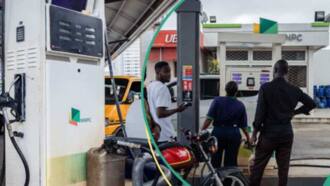 FG makes another move to help filling stations begin sale of fuel priced at N200