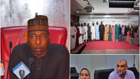 Borno Gov Sends 19 Orphans Abroad to Study Medicine, Students to Get $200 Monthly Stipend