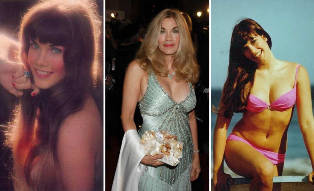 Barbi Benton Then And Now See Recent Photos Of The Model Legitng