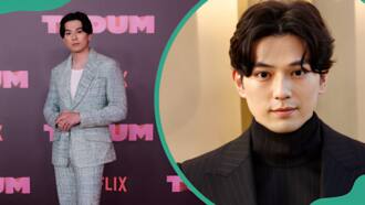 Who is Mackenyu's wife? Discover the 'One Piece' actor's bio and family life