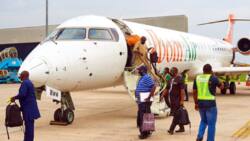 Flight cancellation alert: Kano, Sokoto, Maiduguri experiencing hazy weather conditions, NiMet says