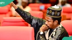 Elisha Abbo: Sacked APC senator in fresh trouble over bribery allegations against appellate court