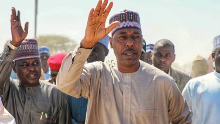 "Borno is a model for other states to follow", Zulum's aide says