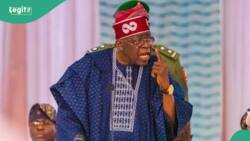 “Wait till 2027 to participate in politics”, Tinubu slams NLC over strike, video emerges
