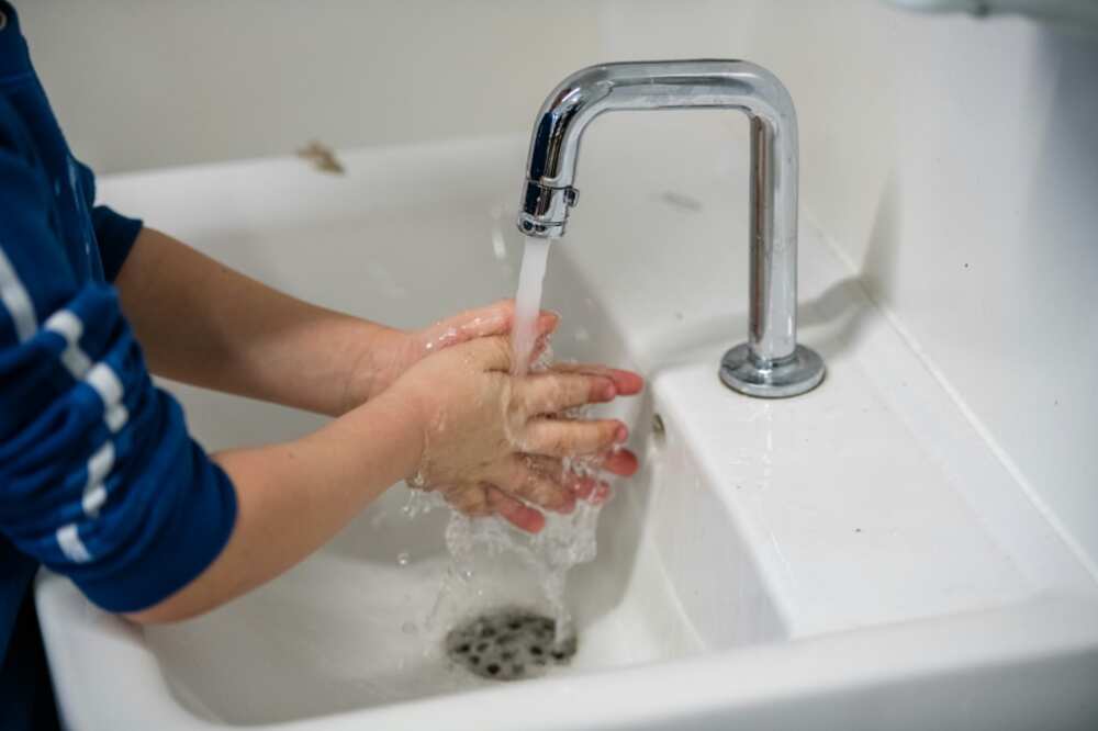 Hand washing is advised to prevent infection with the pathogens S. aureus and E. coli, which are behind a huge numbers of deaths every year