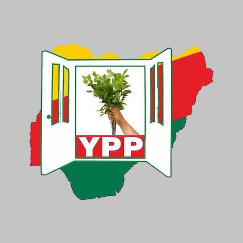 YPP's logo