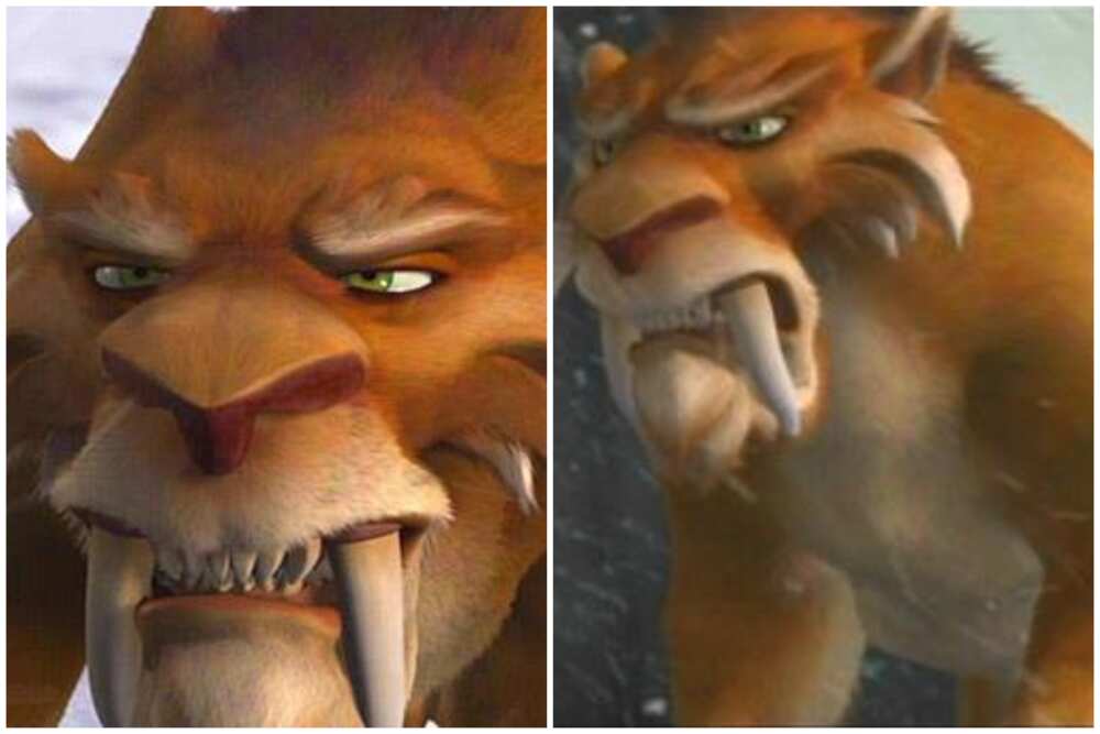 Characters in Ice Age