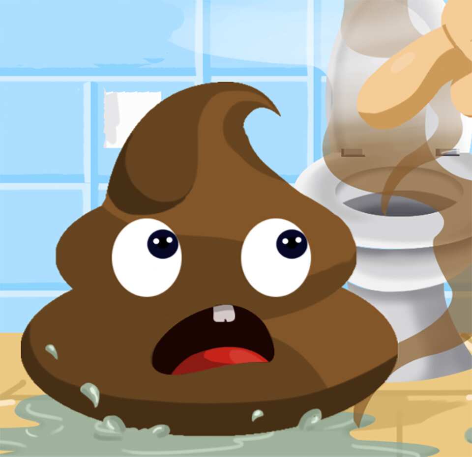 Пу это. Poop игра. Игра с какашкой. Гонки на какашки. Poop игра какашка.