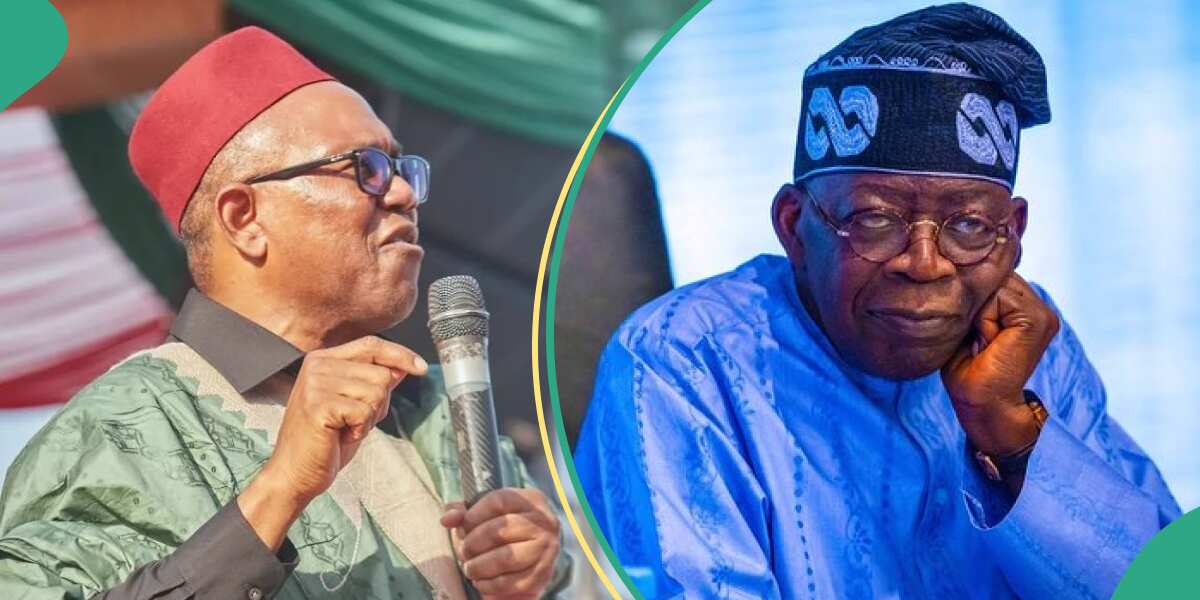 Did Labour Party ordered Peter Obi to apologise to Tinubu? Truth surfaces