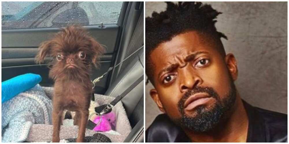 Basketmouth and puppy