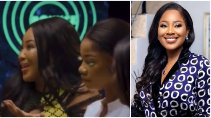 "They are nicer to look at": Erica reveals why BBNaija ladies trend more than their male colleagues