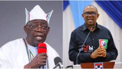 Again, Peter Obi speaks on his plans to challenge Tinubu’s victory, expresses confidence in Judiciary