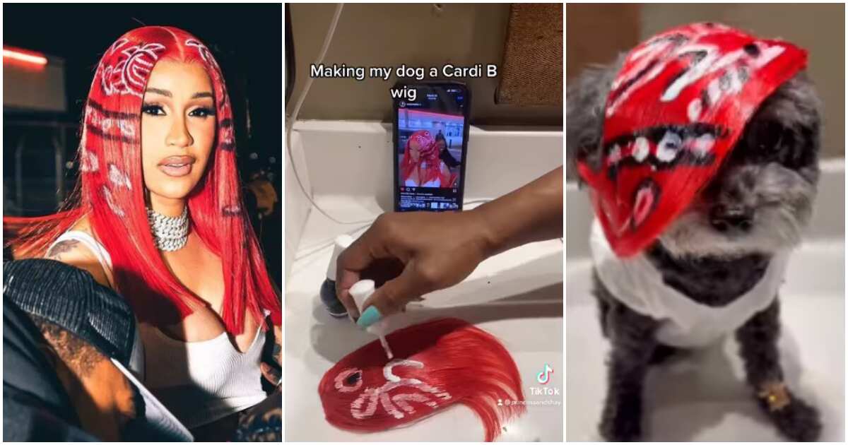CardiB shows off her red Bandana hair 🩸, By Say CheeseTv