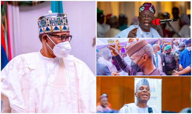 Between Tinubu, Osinbajo, Amaechi: Powerful APC governor reveals what Buhari will do before primary