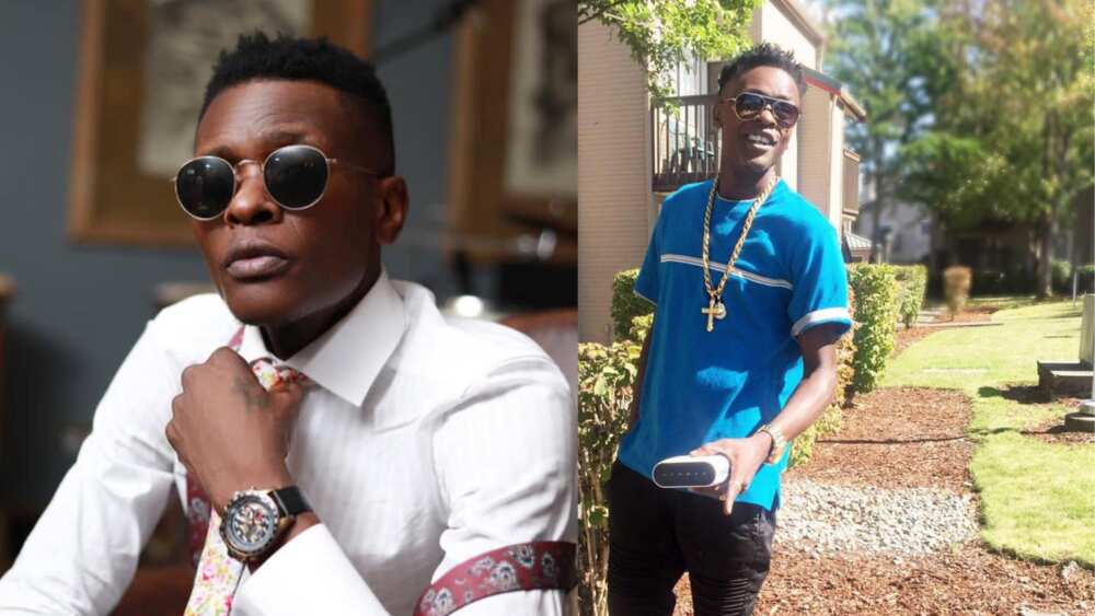 top 20 richest musicians in africa in 2022 top 20 richest musicians in africa in 2022