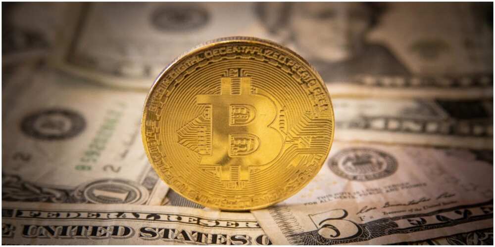 Bitcoin creator, Satoshi Nakamoto, joins list of 20 richest people on earth