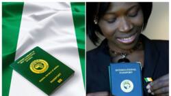 Nigerians rush to obtain passports; Immigration says issuance has risen by 38 per cent
