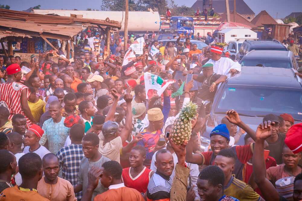 Kwankwaso Kwankwaso