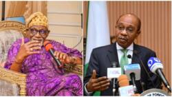 Naira redesign: "Emefiele will frustrate us", APC gov speaks on doom for party, implication for 2023 elections