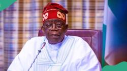 Tinubu sneaked into France for urgent medical treatment? Minister opens up