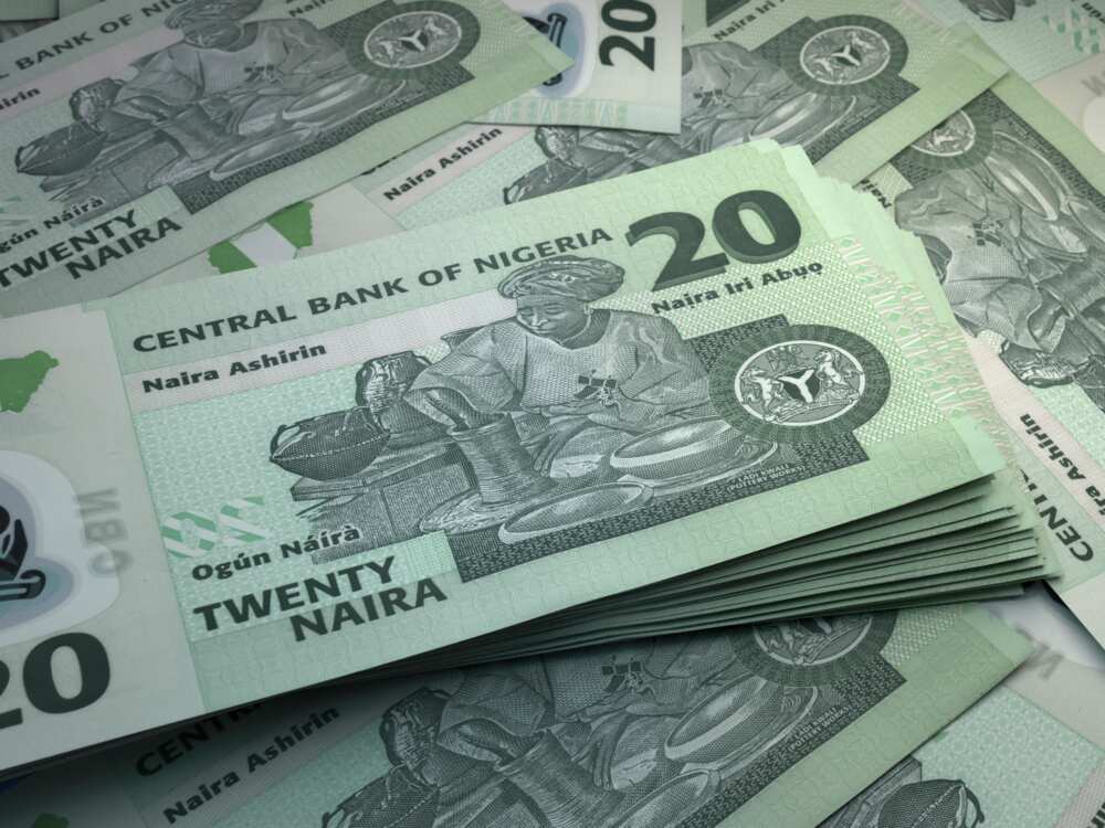 Nigerian currency notes Nigerian currency notes