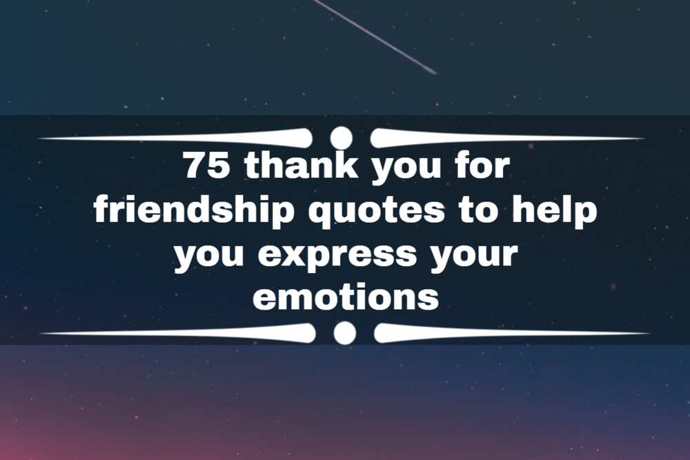 Thank you for friendship quotes
