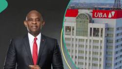 Tony Elumelu set to add N1.2bn to his wealth as UBA announces huge rewards for shareholders