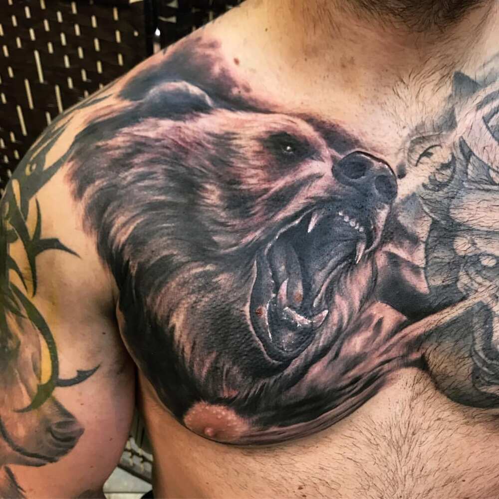 grizzly bear chest tattoo