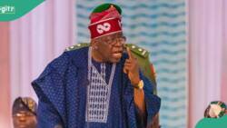 First anniversary: Presidency speaks on criteria Tinubu will use in assess ministers' performance