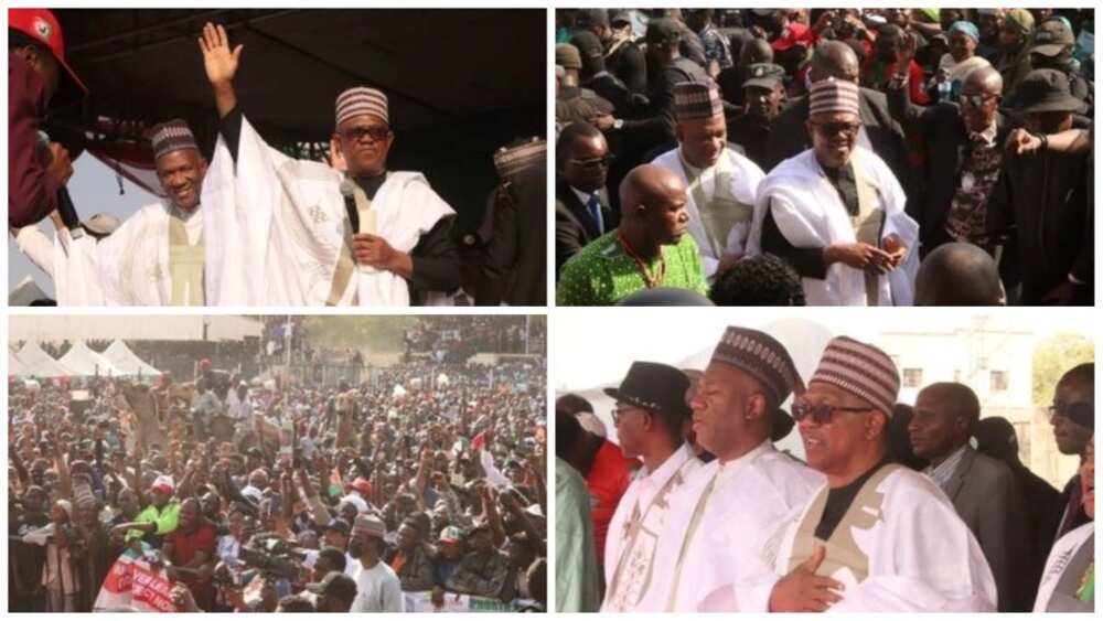 Peter Obi, Kano state, campaign rally, 2023 presidential election, Labour Party Ahmed-Datti