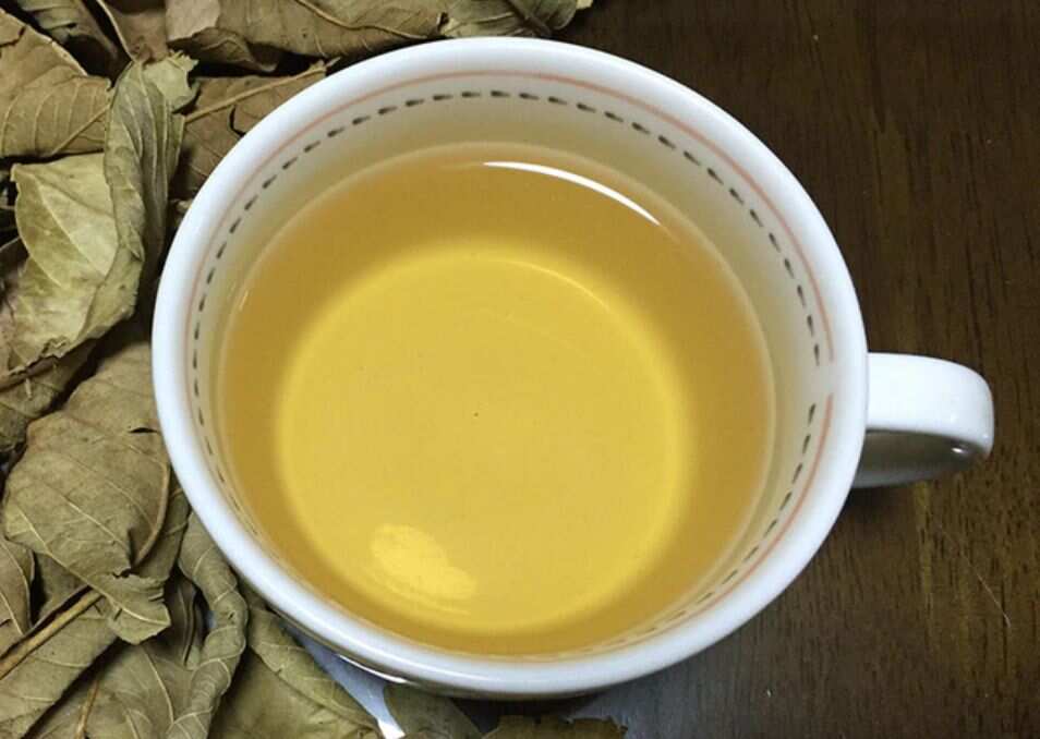 Guava tea made from dry leaves