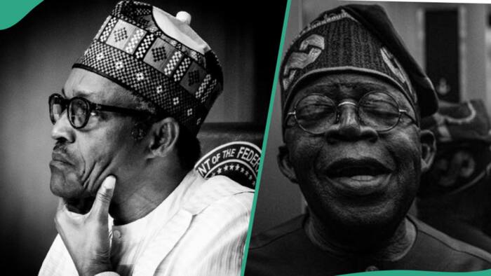 "That picture is wack": Knocks as ex-president's photographer reacts to Tinubu vs Buhari's portraits