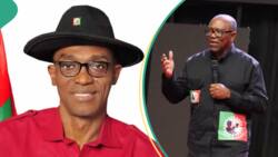 Why Labour Party chairman, Abure, is planning to suspend Peter Obi, embattled treasurer speaks