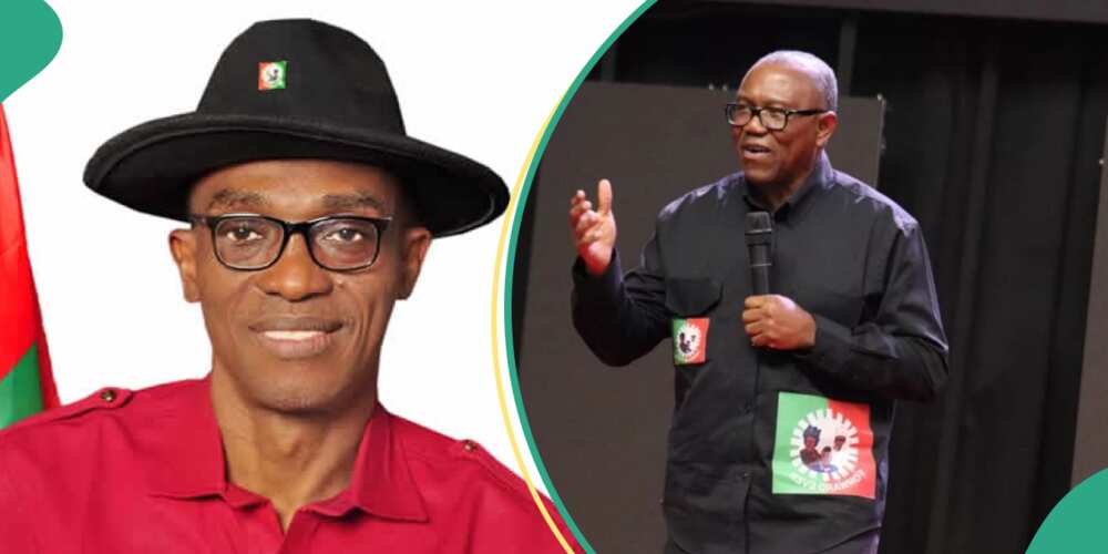 LP national chairman planning to suspend Peter Obi