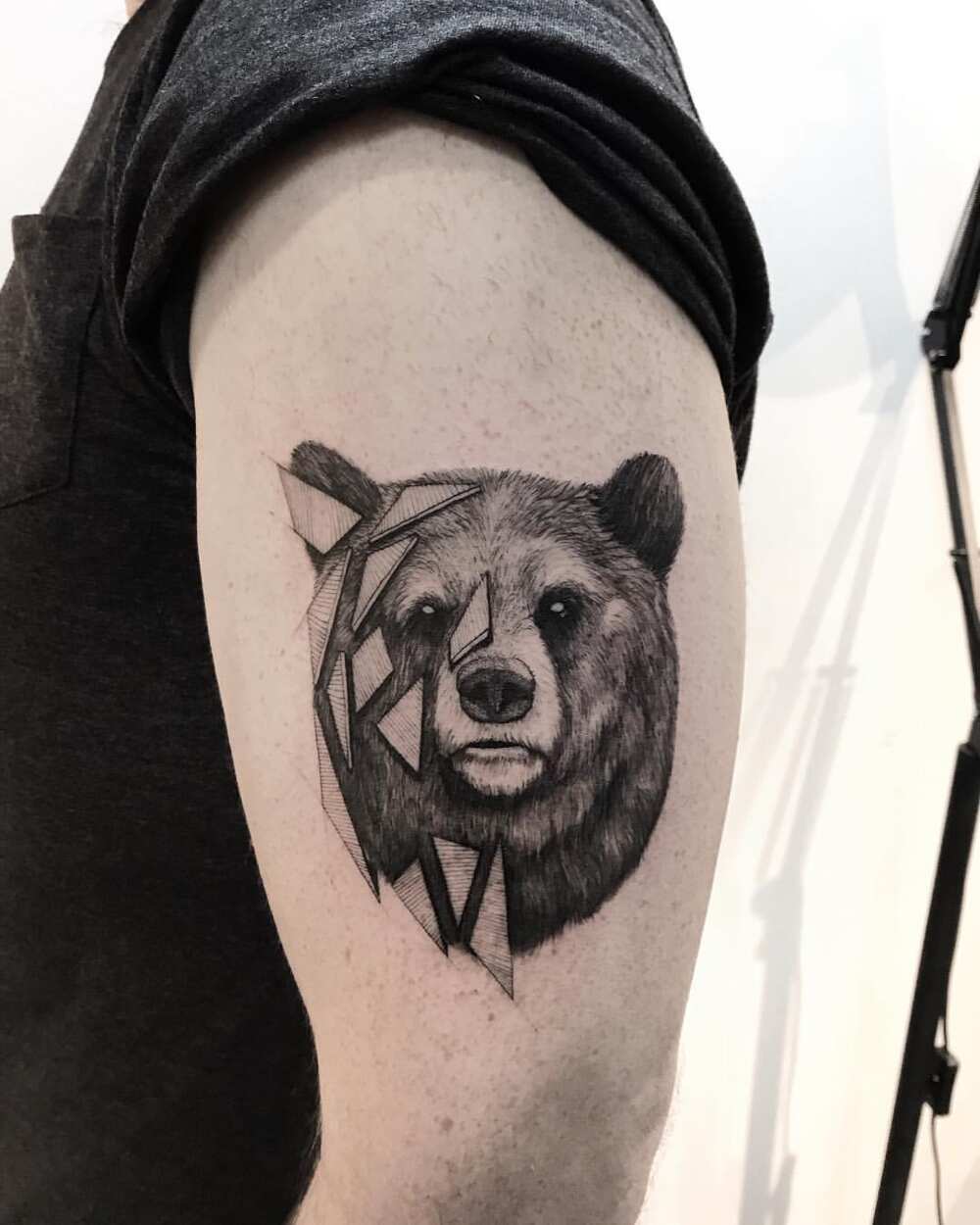 50 cool bear tattoo design ideas and meanings Legit.ng