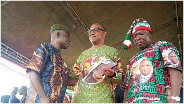 Read full details of Peter Obi's next line of action as revealed by top senator