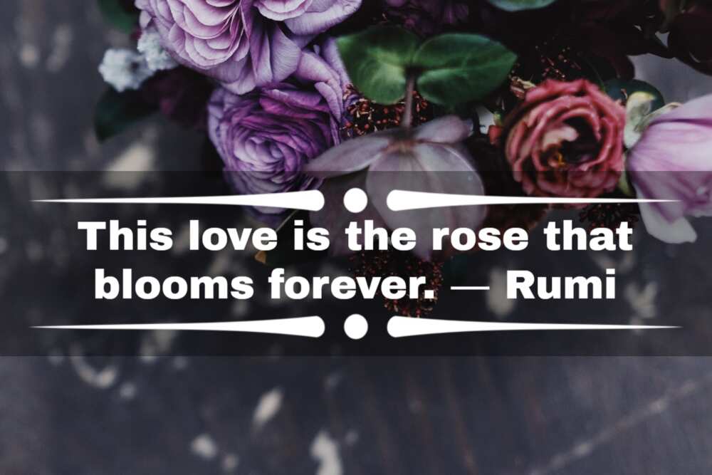 Sayings about roses