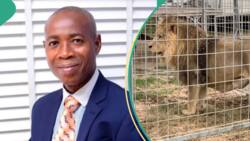 Hunters kill lion responsible for OAU zookeeper's death as fresh details emerge