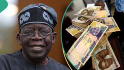 Tinubu govt to share N50,000 to Nigerians, announces date