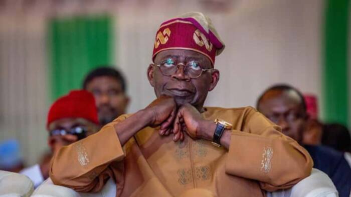 PDP, Labour Party Sun Taso Shugaba Tinubu a Gaba Bisa Jan Kafa Wajen Bayyana Kadarorinsa