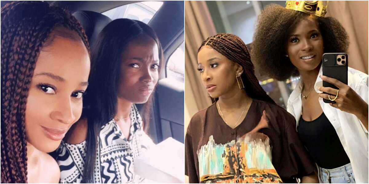 Adesua Etomi reveals how Jemima Osunde moved into her home to help with her 1st IVF journey