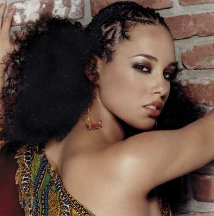 Alicia Keys Braids Hairstyles You Will Like Legitng 