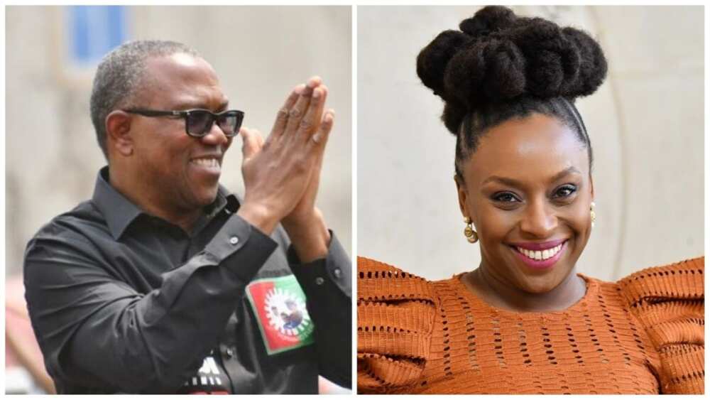 Peter Obi, Chimamanda Adichie, 2023 presidential election, Labour Party